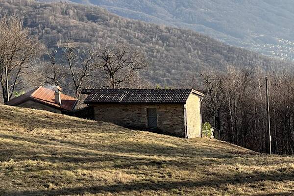 Жизнь в Пустыни Святого Креста, что в Швейцарии